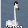 Swan Ronson