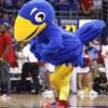 Jayhawk